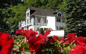 Beurener Mühle